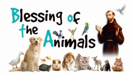 Blessing of the Animals, Saturday, Oct 2, 12 Noon