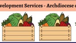 Nutritional Development Services Food Distribution 3/6/21