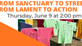 Interfaith Service and Advocacy to End Gun Violence 6/9 at 2PM